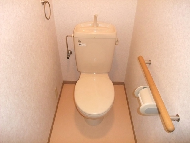 Toilet. Toilet