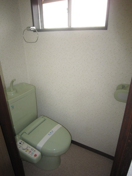 Toilet. With cleaning function