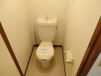 Toilet. Toilet