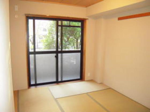 Other room space. You can chillin in the Japanese-style room