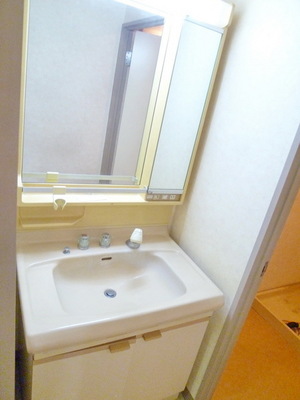 Washroom. Large washbasin