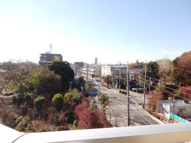 View. Balconies with views on the top floor