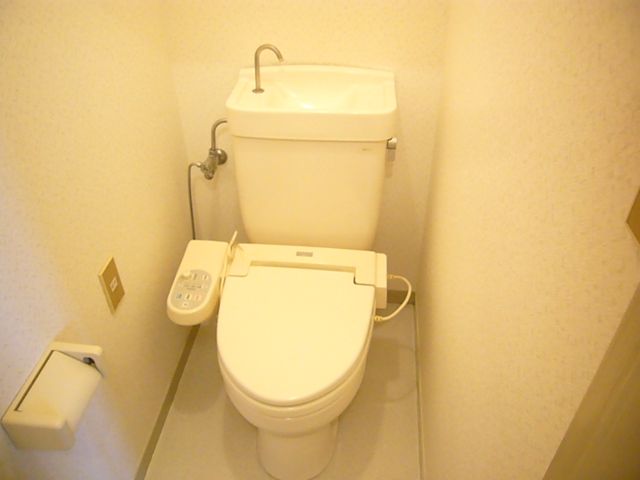 Toilet. Toilet is equipped with shower. 