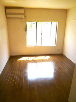 Other room space. Spacious Western-style