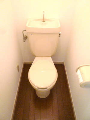 Toilet. Toilet space