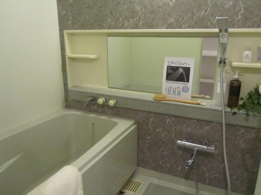 Bathroom. Indoor (12 May 2013) Shooting