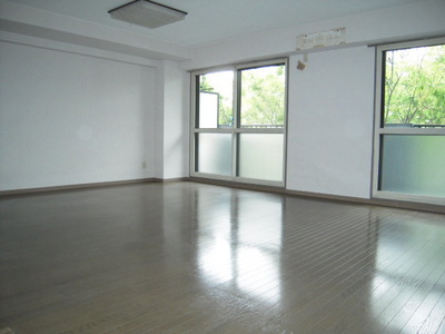 Living and room. Bright and spacious living room