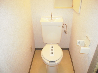 Toilet. I want to loose toilet