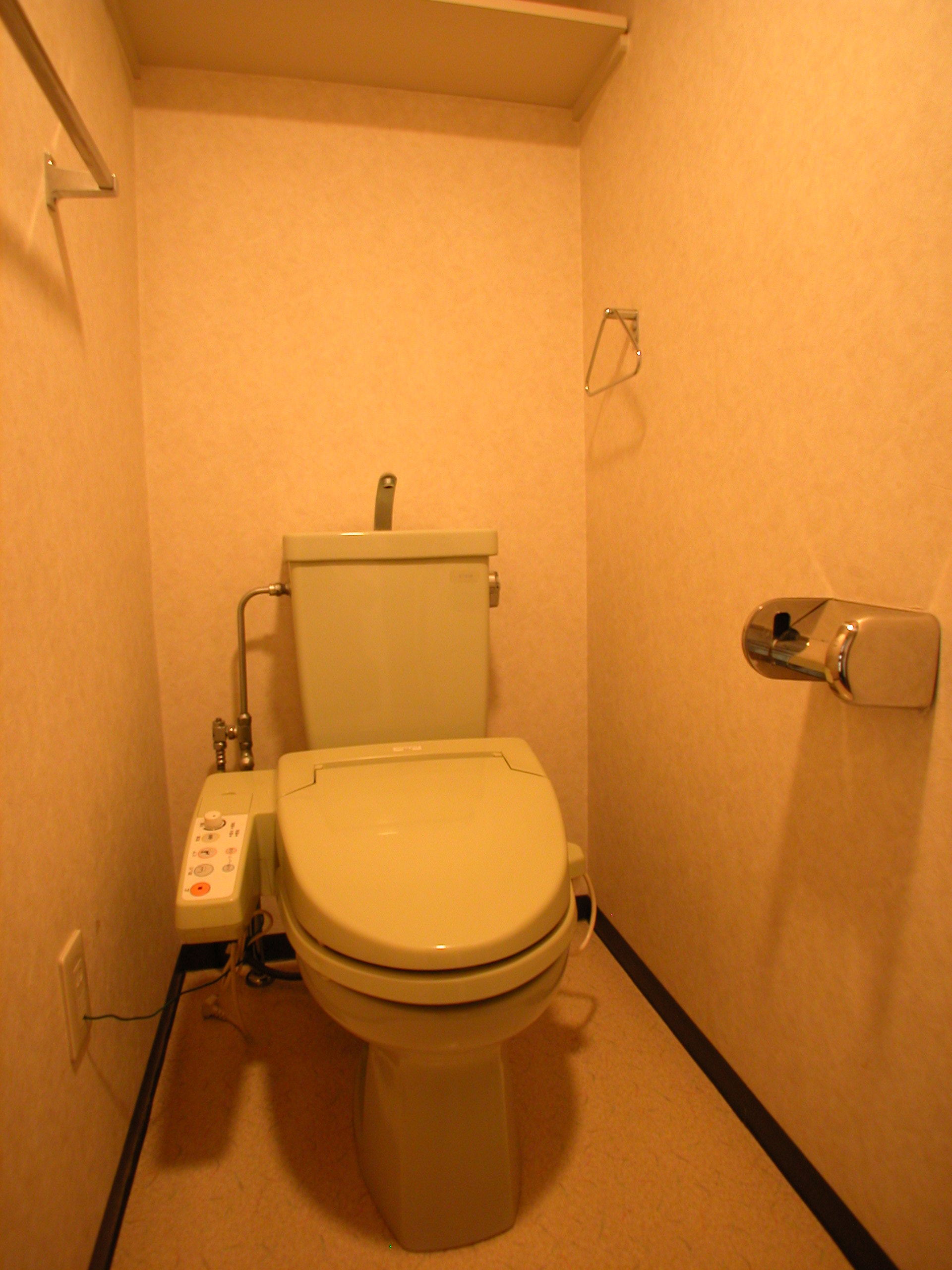 Toilet