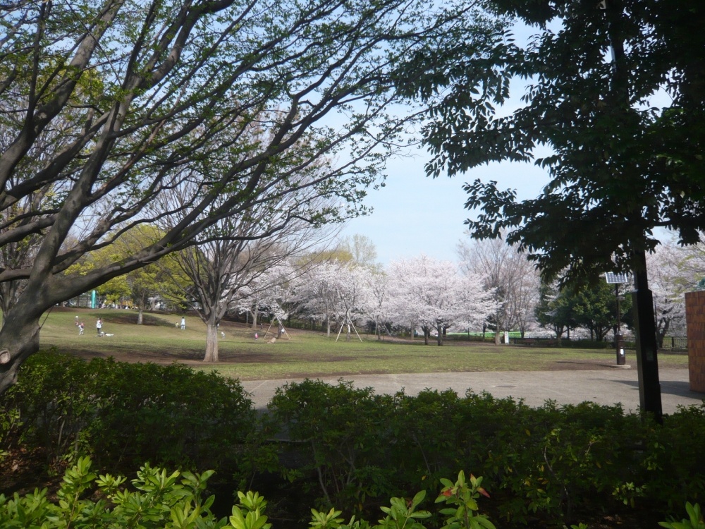 park. Soshigaya 1449m to the park (park)