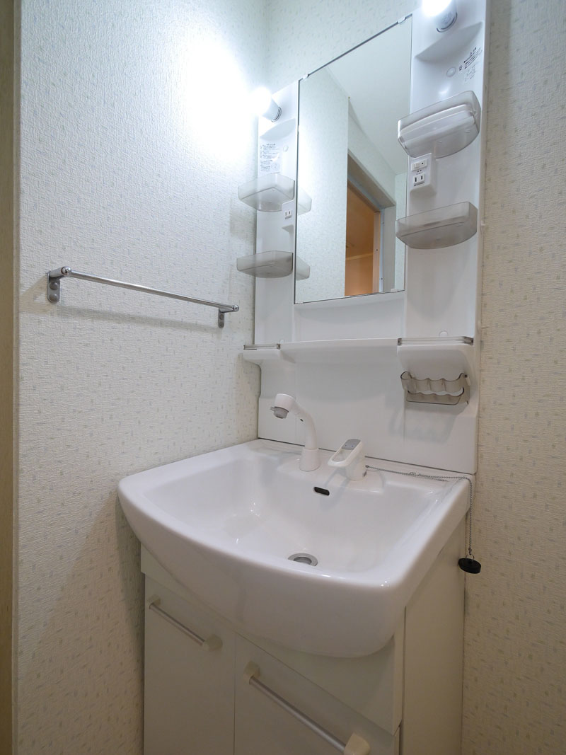 Washroom.  ☆ Washbasin with shower