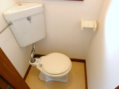 Living and room. Toilet