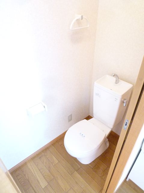 Toilet. Pure white toilet.