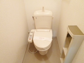 Toilet.  [Separate reference photograph] Cleaning function with toilet seat