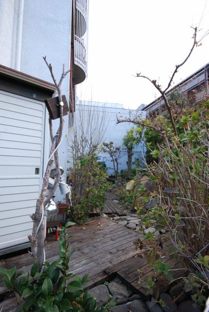 Garden. Spacious There is also a private garden