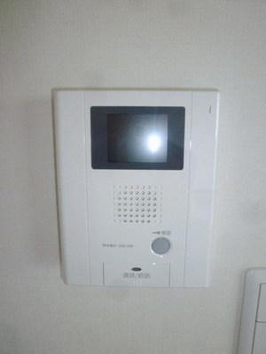 Security. TV monitor phone