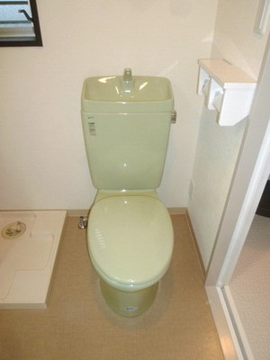 Toilet. Toilet