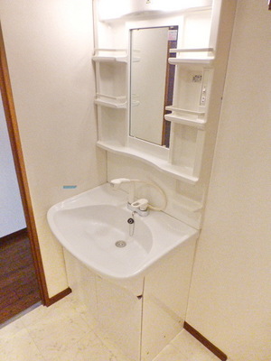 Washroom. Independent wash basin, Shampoo with Dresser