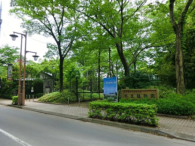 park. Jindai Botanical Park