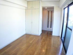 Living and room. Spacious closet