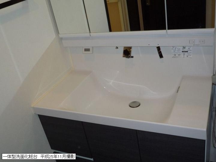 Wash basin, toilet. Integrated vanity (November 2013) Shooting
