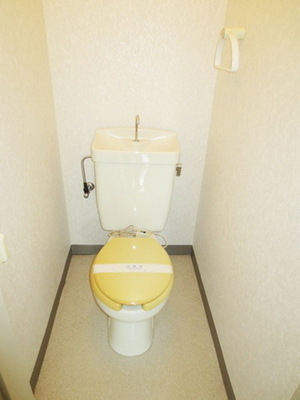 Toilet. Toilet