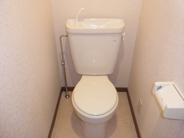 Toilet. It is the entire private room.