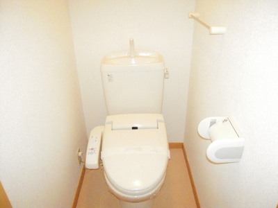 Toilet. The same building another room image view