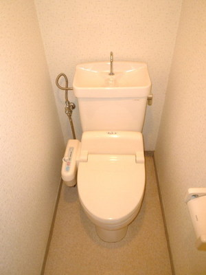 Toilet. Toilet