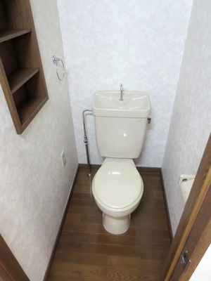 Toilet. There is a shelf next to the toilet