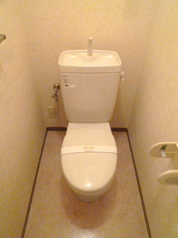 Toilet. Toilet space