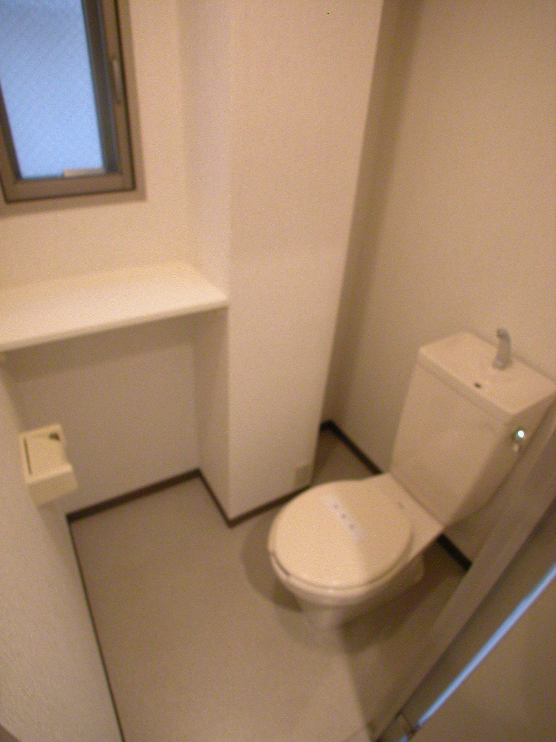 Toilet