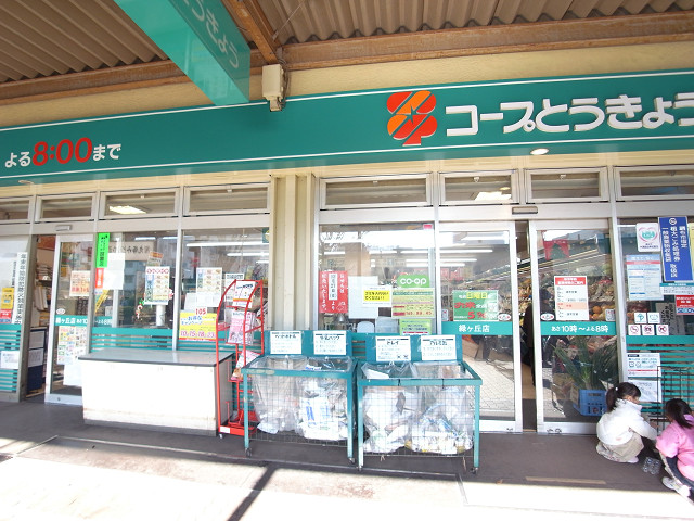 Supermarket. KopuTokyo Midorigaoka store up to (super) 513m