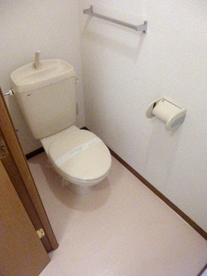 Toilet. Bus toilet another room