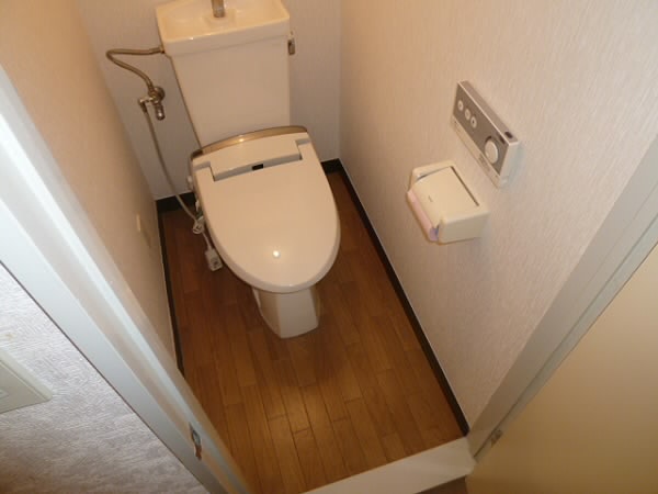 Toilet