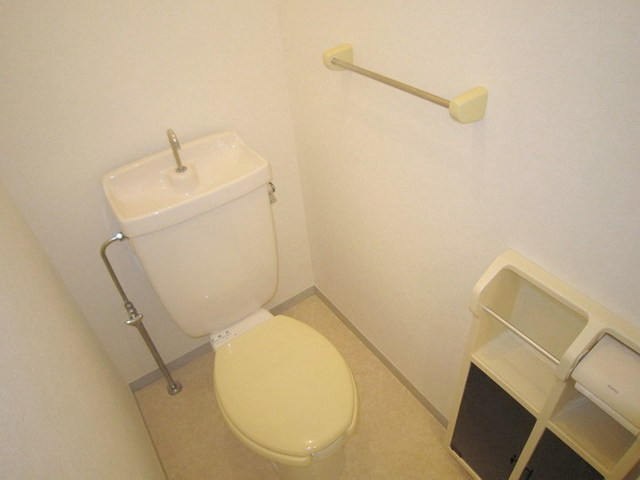 Toilet. Also with paper rack