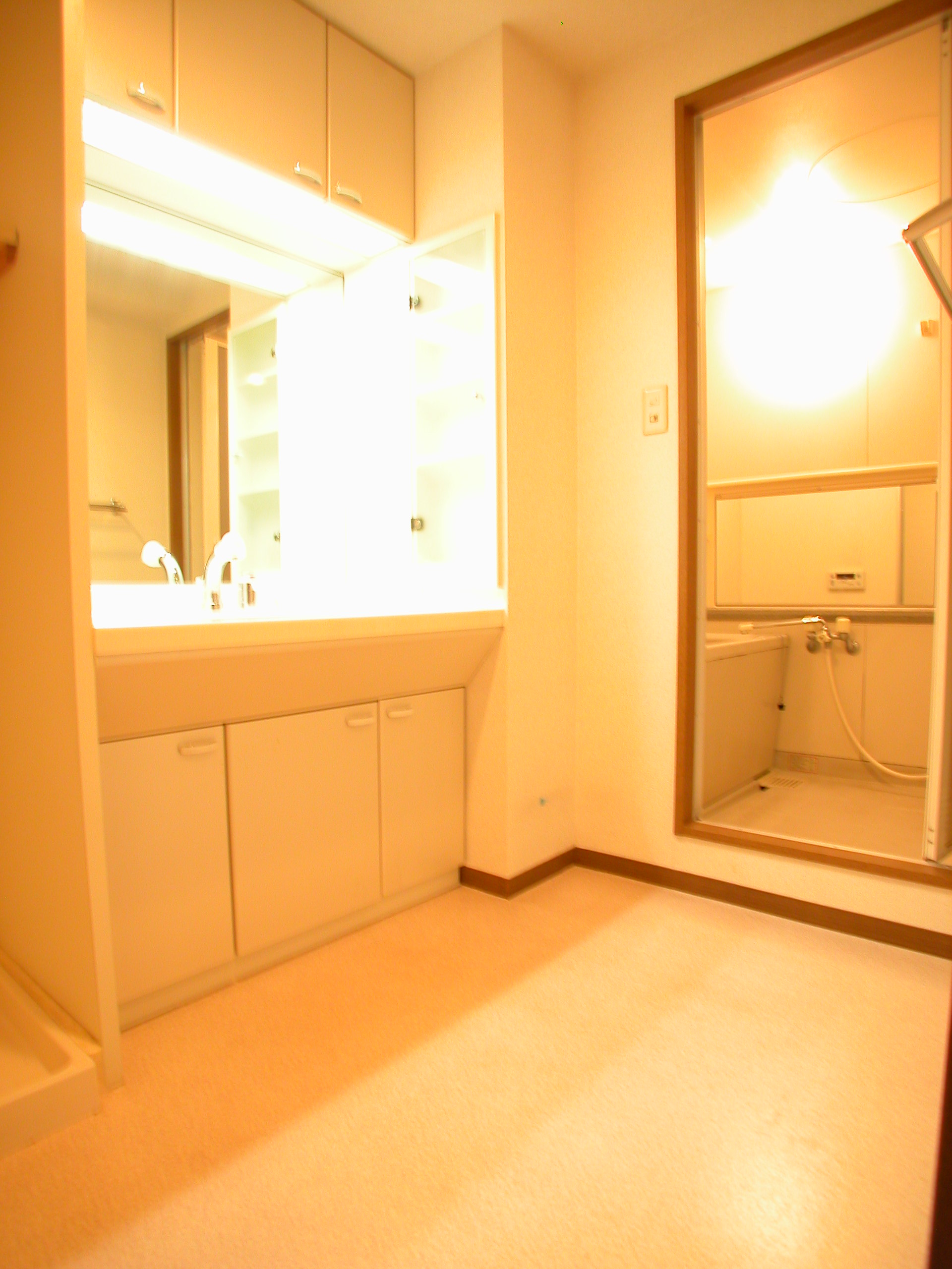 Washroom. You can use To spacious, such as shampoo dresser. 