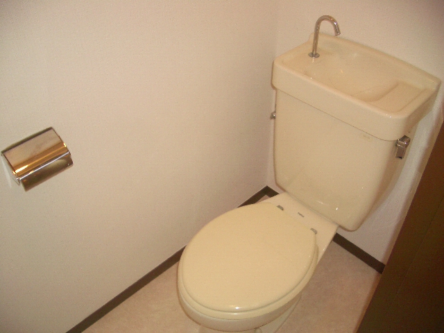 Toilet. Also it comes with a separate wash basin! 