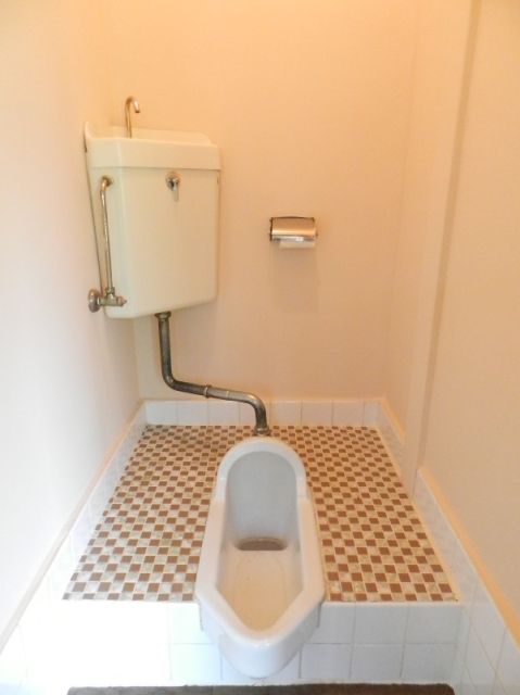 Toilet. Japanese style toilet