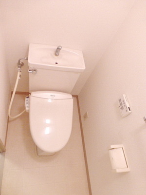 Toilet. Toilet