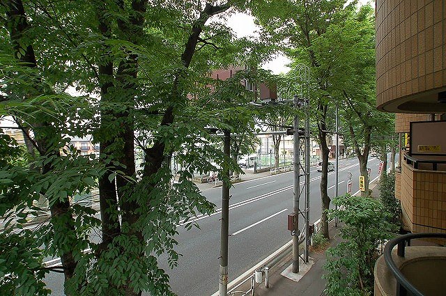 Balcony. Veranda