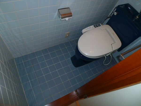 Toilet. Washlet comes! 