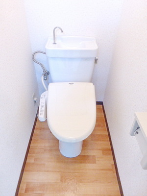 Toilet. Bidet