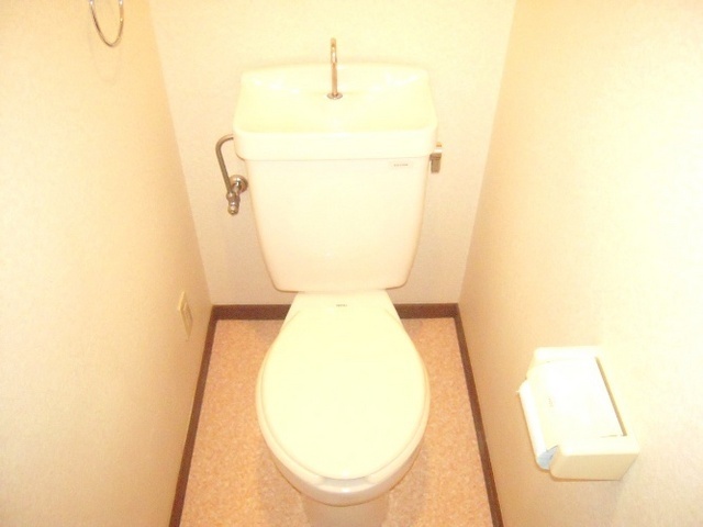 Toilet. Toilet