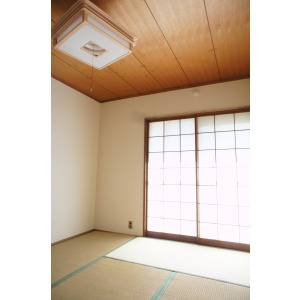 Other room space. Japanese style room