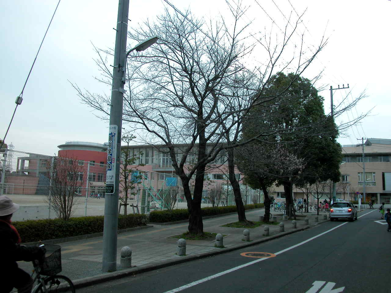 Primary school. Chofu until the Municipal Harmony Elementary School (Elementary School) 411m