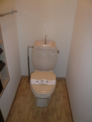 Toilet. Toilet