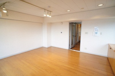 Living and room. Spacious soundproof room ☆ 