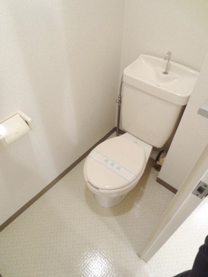 Toilet. Toilet