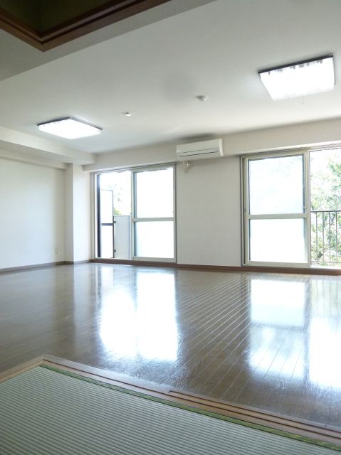 Living and room. Spacious dining room